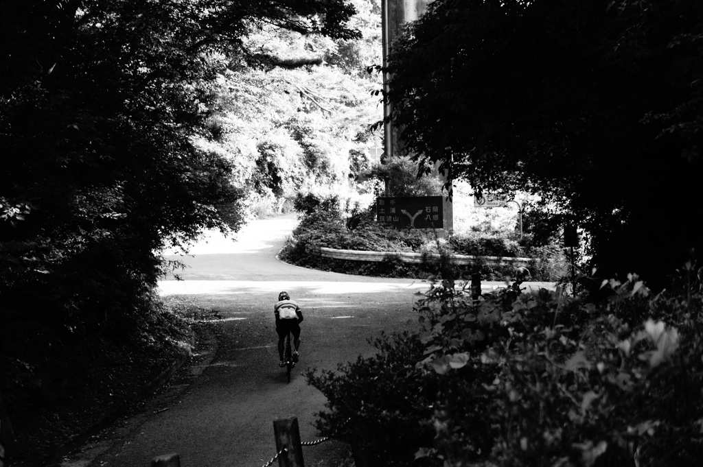 若ければ乗りたい競技自転車