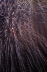 光跡のカーテン