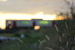 夕暮れ列車