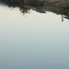 冬の川岸