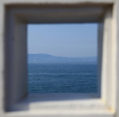 海