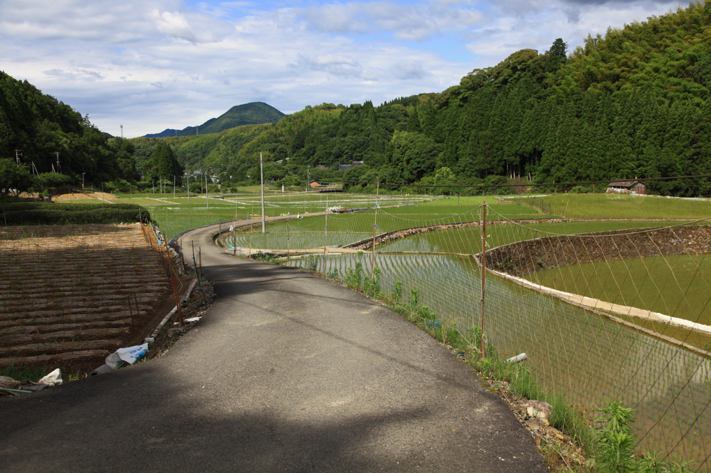 少し暑い帰り道