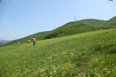 駆け巡る