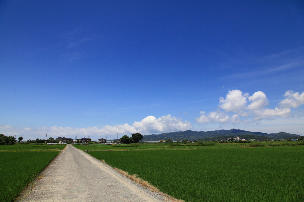 田園