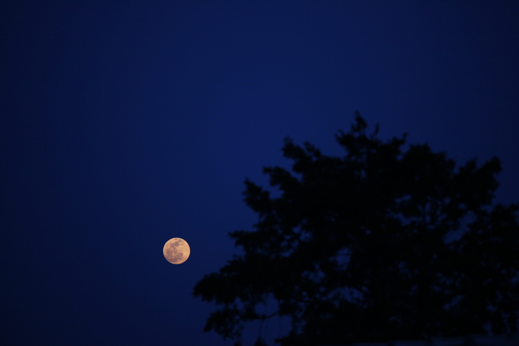 moon