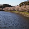 湖畔の二人