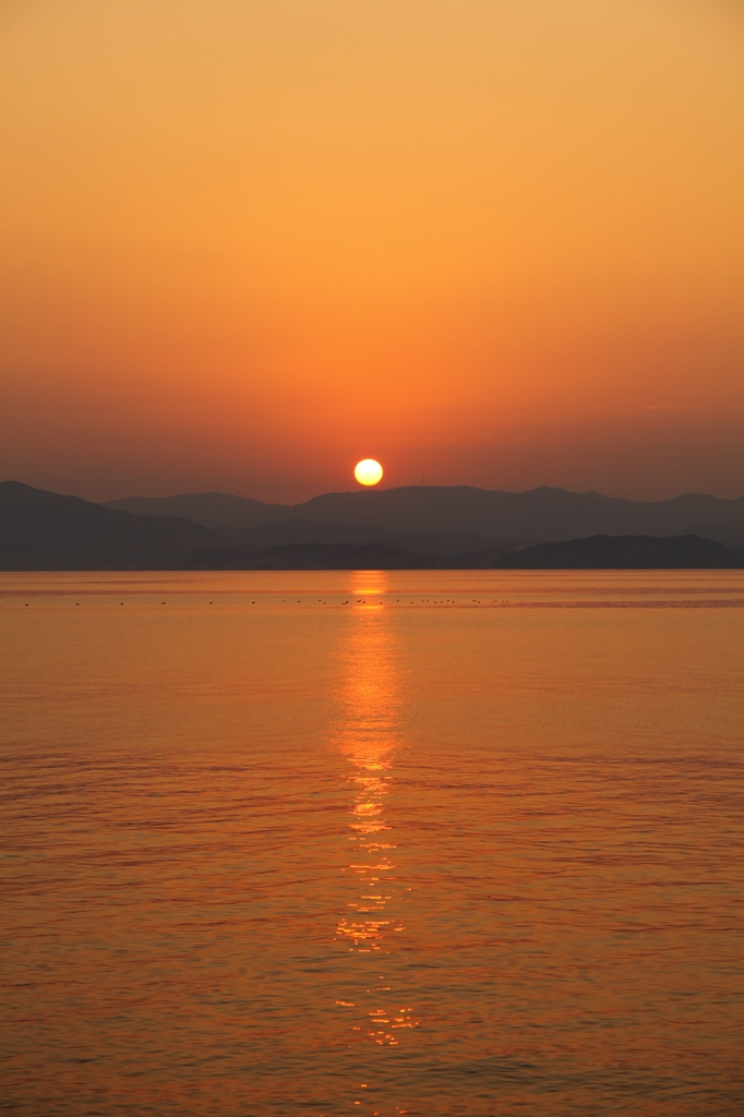 夕日