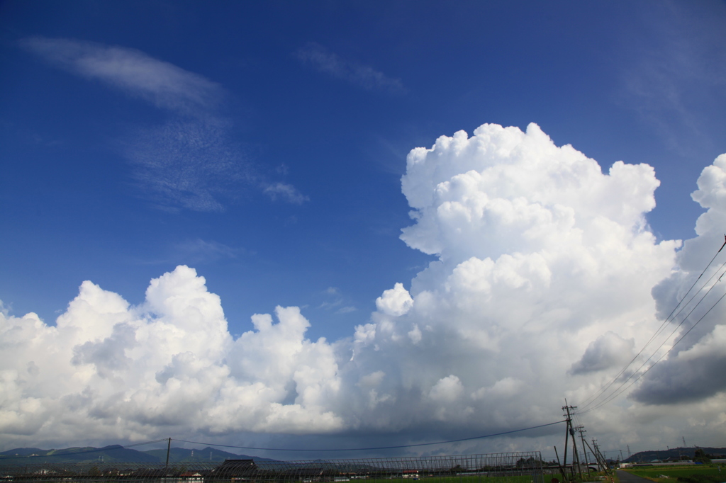 入道雲