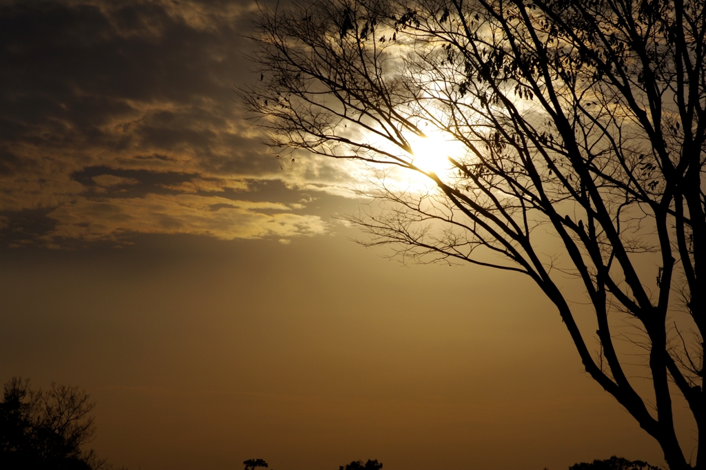 秋の夕暮れ