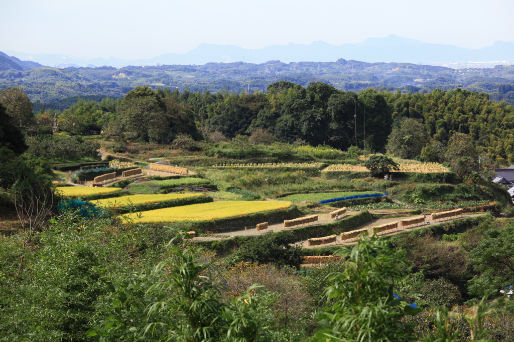 山里