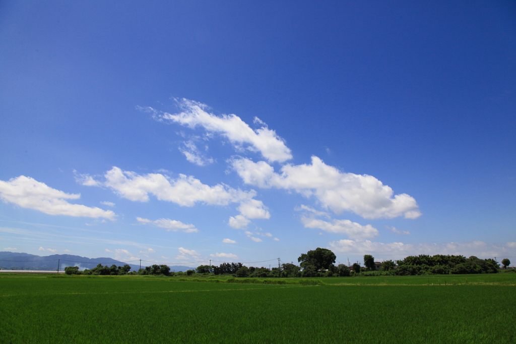 夏雲