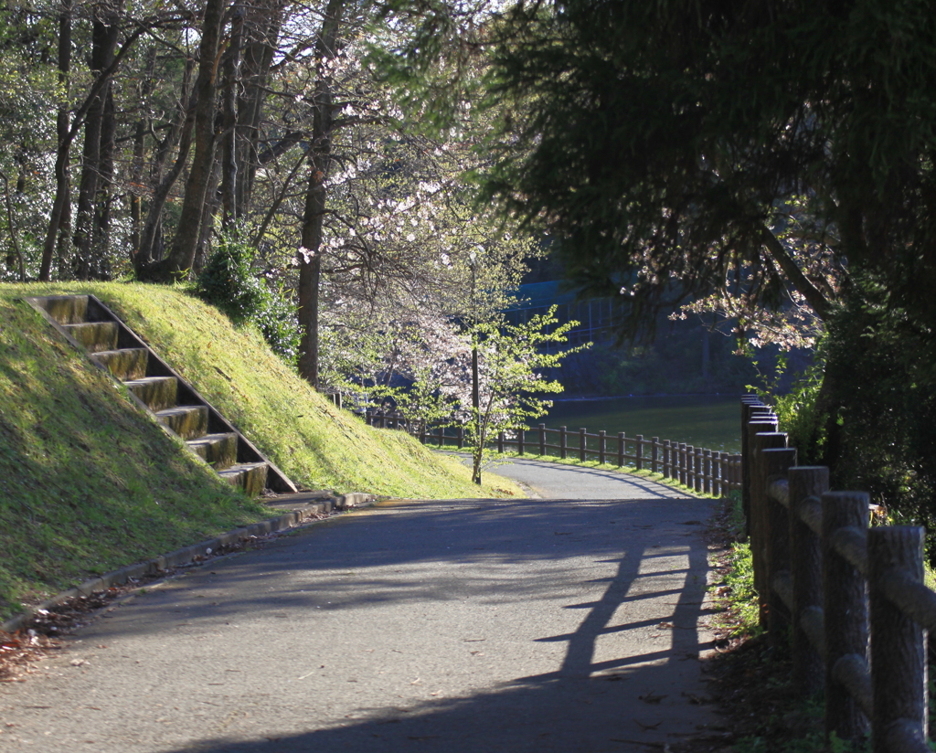 散歩道