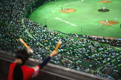 野球観戦