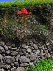 石垣
