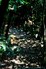 山道