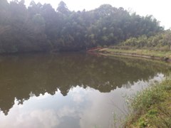 穴場