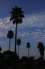 夕刻