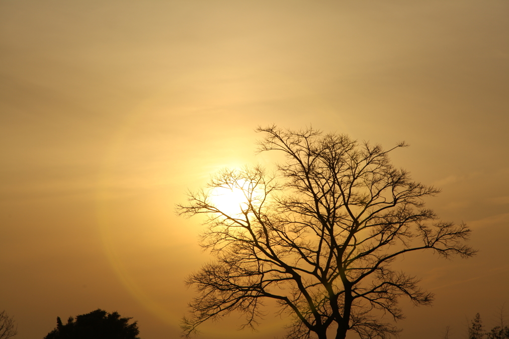 夕日