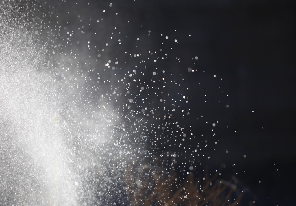 SPLASH