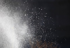 SPLASH
