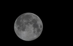ｍｏｏｎ