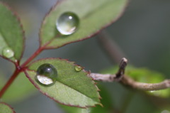 雨上がりの空