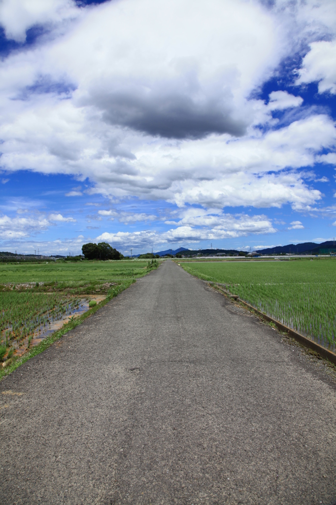 田舎道