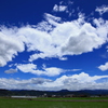 夏雲