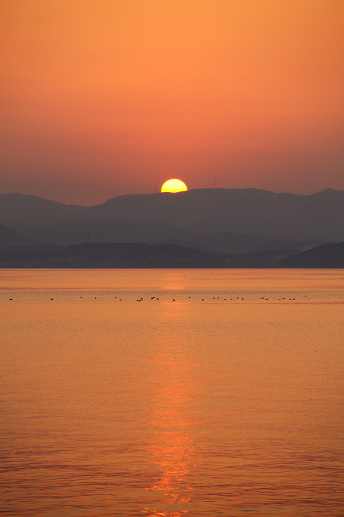 夕日