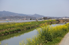 帰り道で