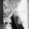 silhouette