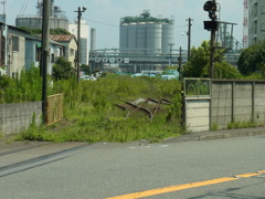 在りし日の