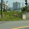 在りし日の