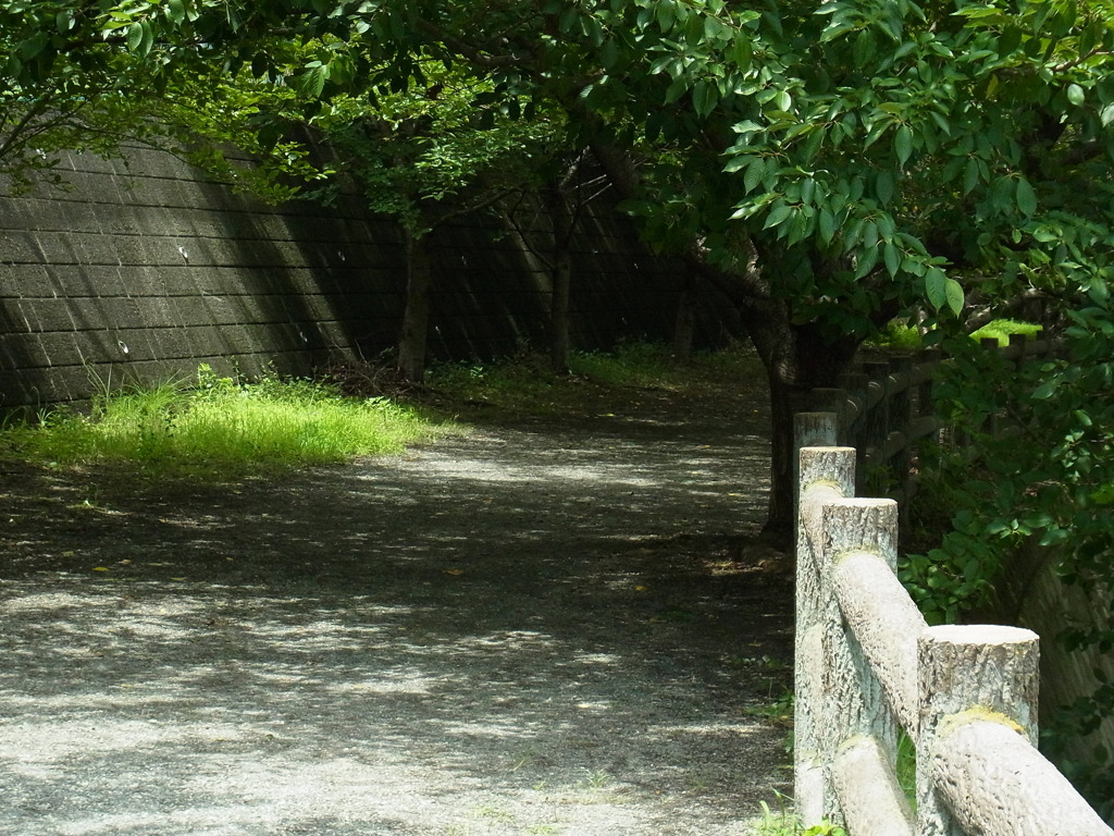 影道