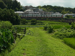 夏休み