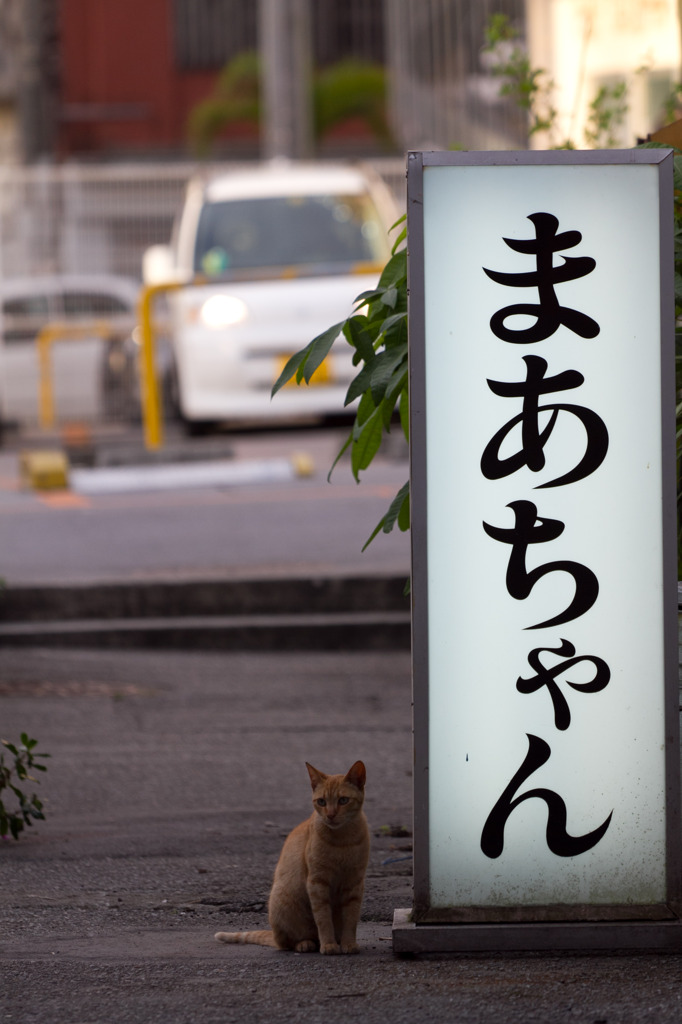 まあちゃん