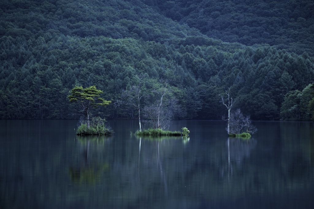 曽原深緑