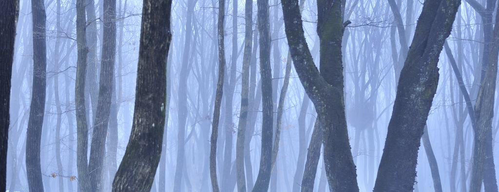 Cold atmosphere