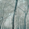 eternity of the soul