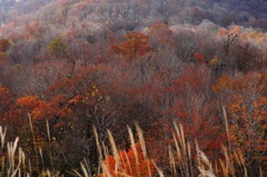 from autumn to winter