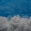 winter blue #1