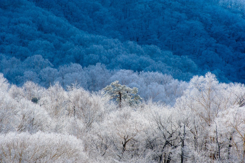 winter blue #2