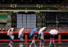 雨の遠足日