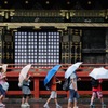 雨の遠足日