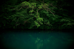 Green & Green