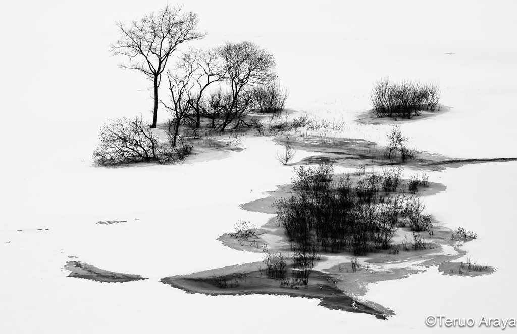 White pond