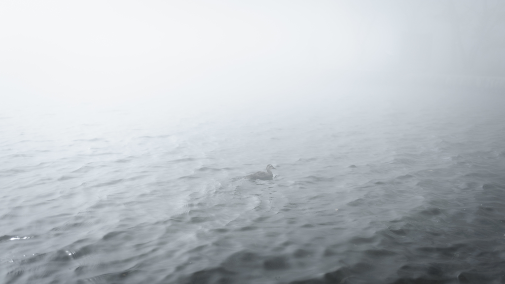 浅い夢