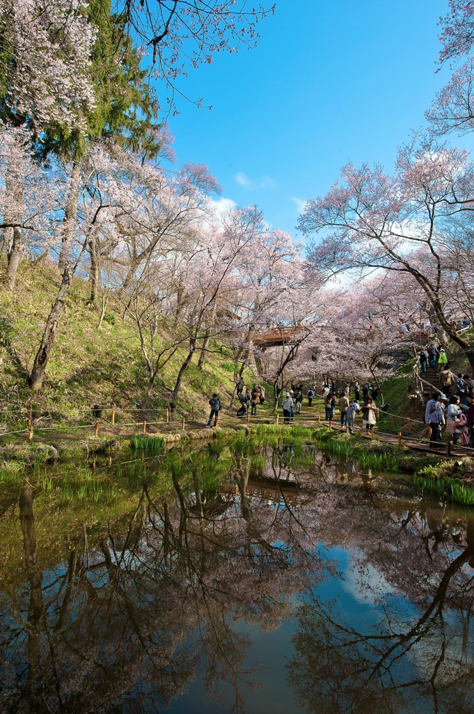 兵どもの夢