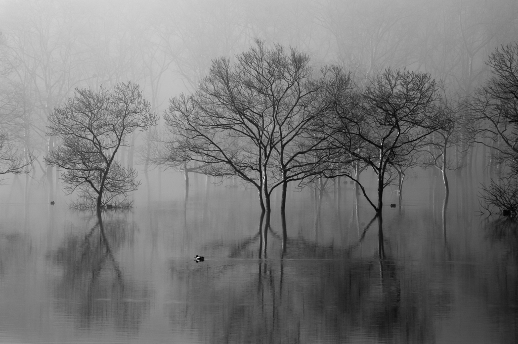 Awakening