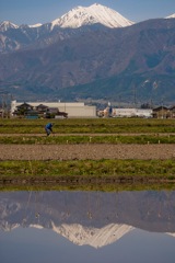 安曇野の春